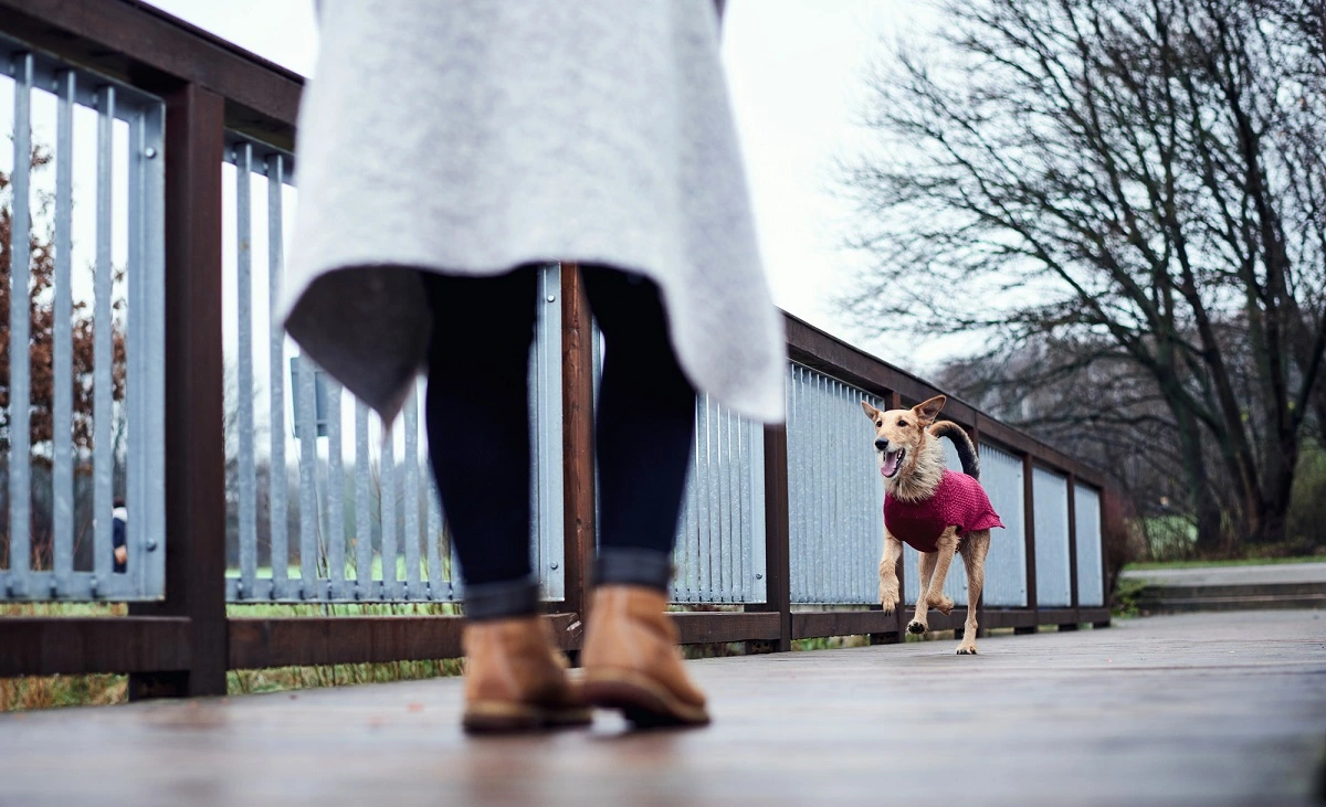 Hunter Malmø pullover strik bordeaux str. 25